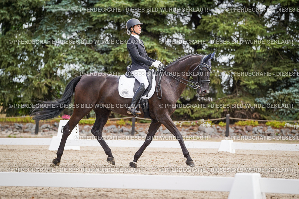 DSC03555 | Pferdegrafie