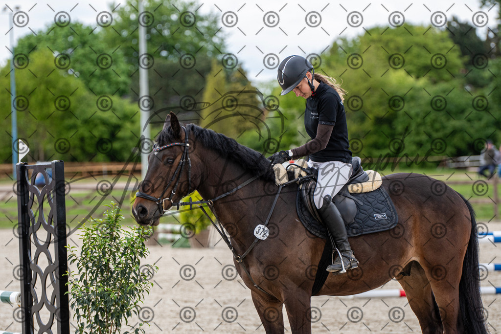 KPT_6813 | andre_photographic