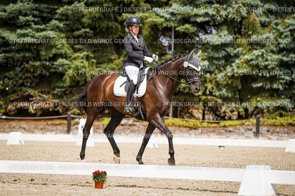 DSC03142 | Pferdegrafie