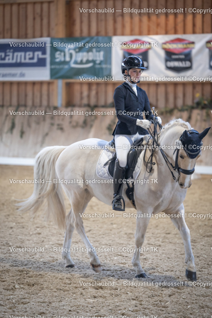 _D5A5042 | Emotionale Pferde- & People-Fotografie rund um Heidelberg, Leimen & Umgebung. Natürliche Fotos von Pferd, Mensch & Familie. Jetzt Termin sichern!