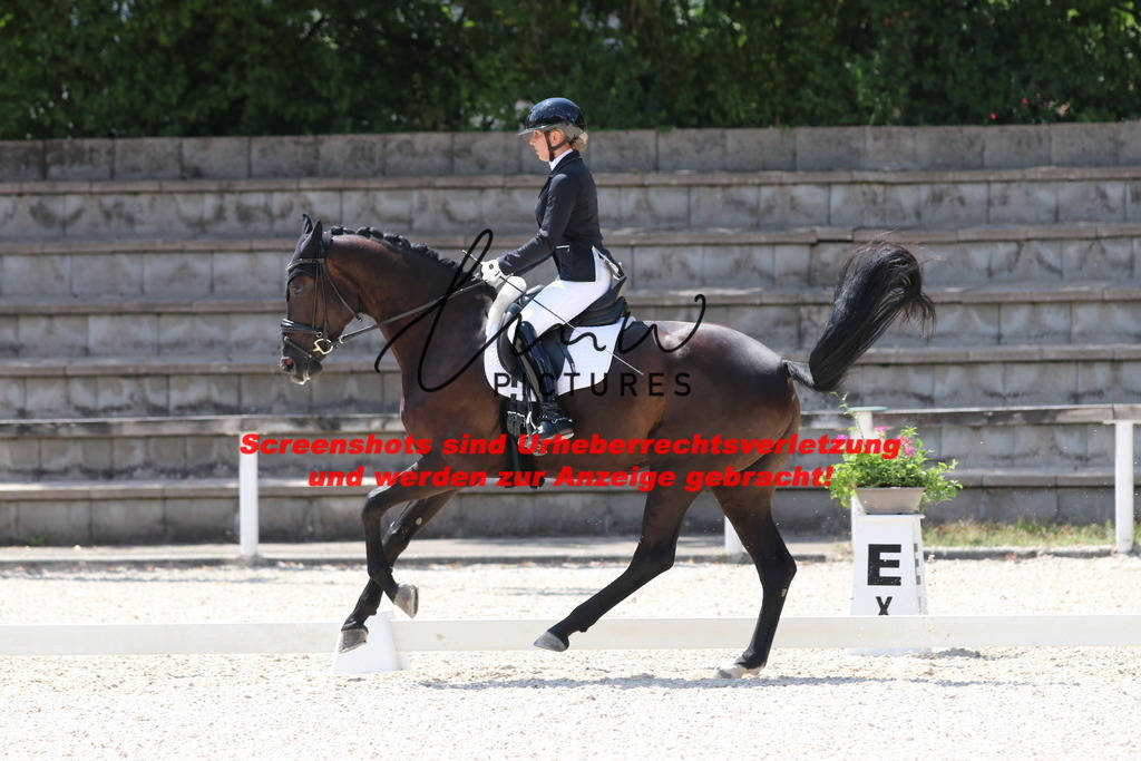 IMG_4871 | lmwpictures - Realisiert mit Pictrs.com