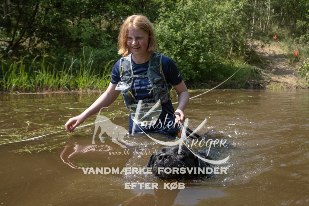 1416DKK990222 | kk-dogfotos
