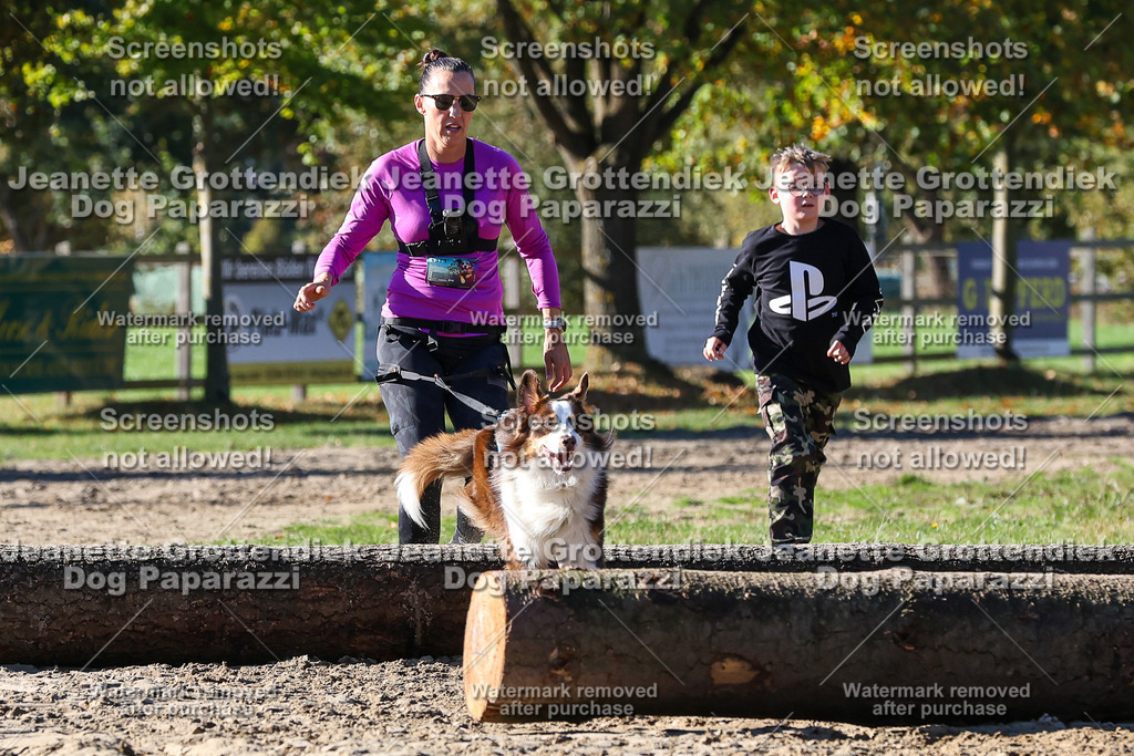Dog Paparazzi - Strongdog 10-25-2435 | Dog Paparazzi Jeanette Grottendiek Fotografie & Videografie - Realisiert mit Pictrs.com