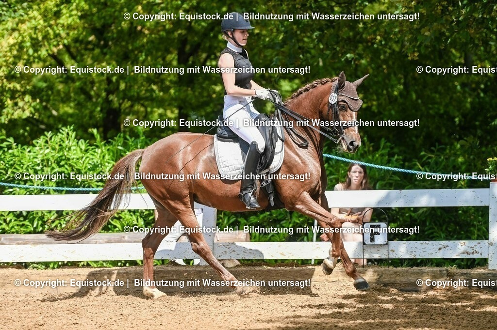 20230716_01_Dressurprüfung Kl.M_0345 | equistock