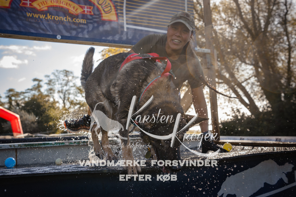 1203_ZZ94481 | kk-dogfotos