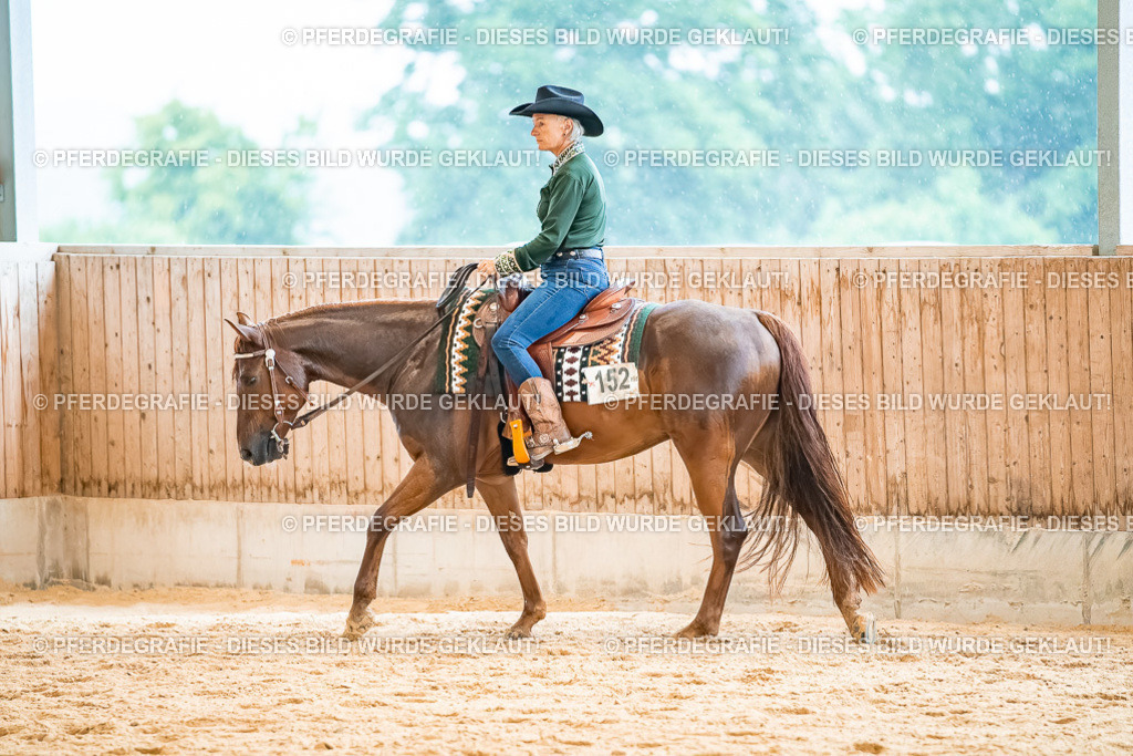 DSC00416 | Pferdegrafie