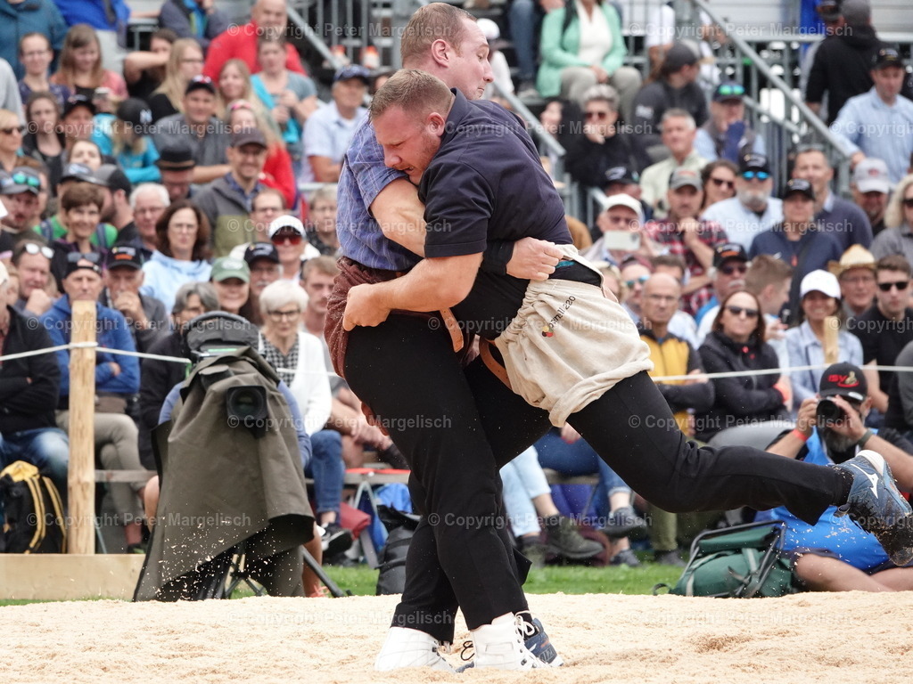 DSC08379 | Schwingen - Realisiert mit Pictrs.com