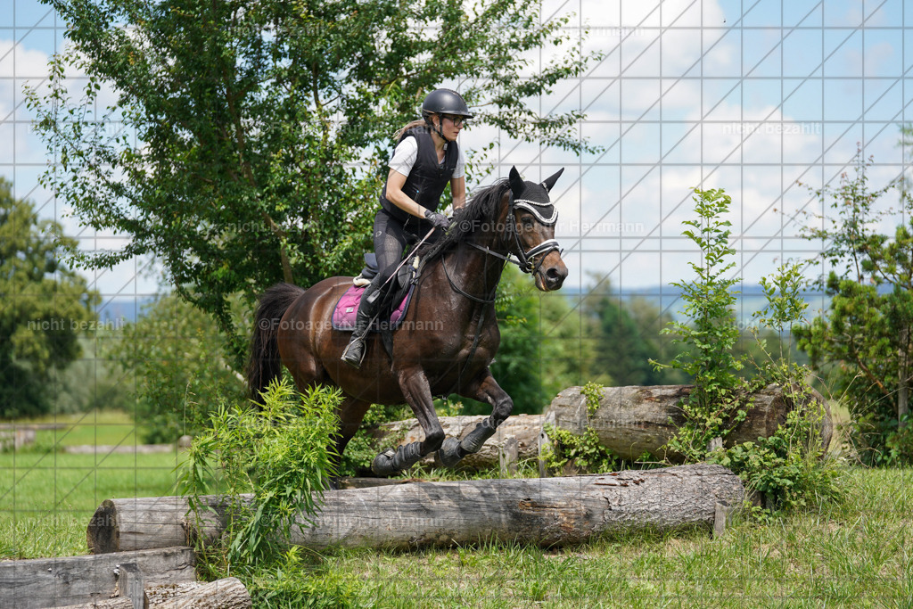 20240622-FAH07514 | Turnierfotografen Bayern, Reitsportbilder aus dem Geländekurs mit Felix Etzel auf dem Gut Waitzacker 2024