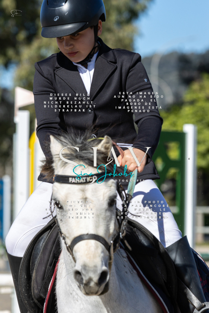 IMG_8745 | s-jay-photography - Realisiert mit Pictrs.com