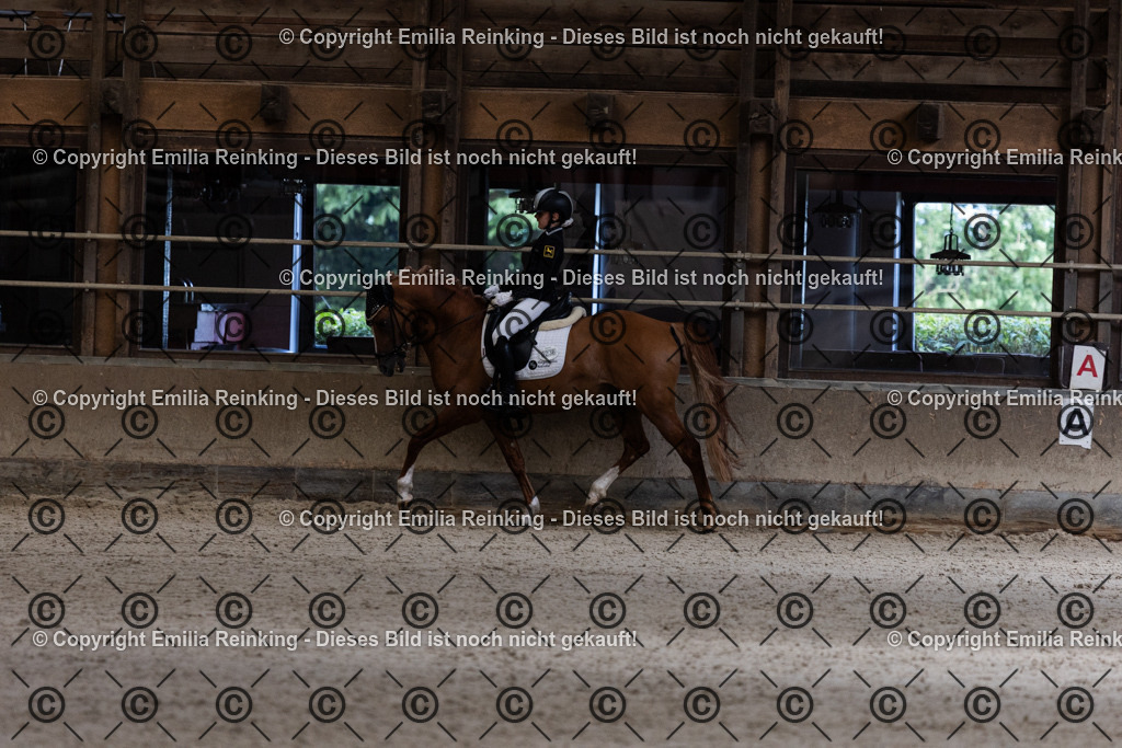 CL5A4016 | Emilia Reinking Fotografie - Realisiert mit Pictrs.com