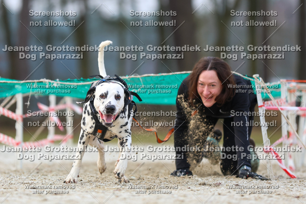 Dog Paparazzi - Strongdog North Mrz26-3661 | Dog Paparazzi Jeanette Grottendiek Fotografie & Videografie - Realisiert mit Pictrs.com