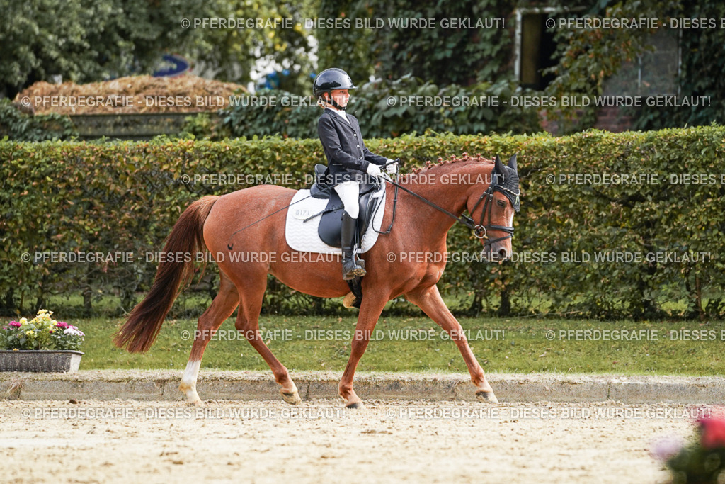 DSC04822 | Pferdegrafie