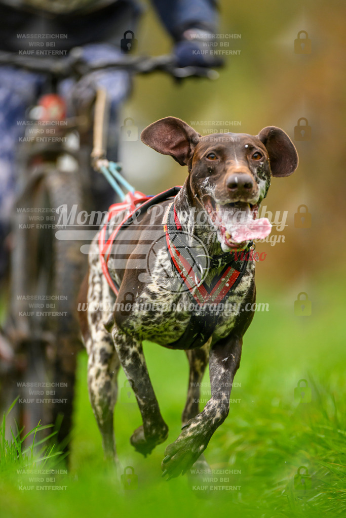 MompixPhotography_20TSB_E8_Bike-123 | PayLife