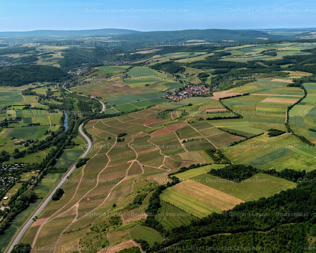3108859 | Weinbergean den Hängen am Rhein bei Monzingen