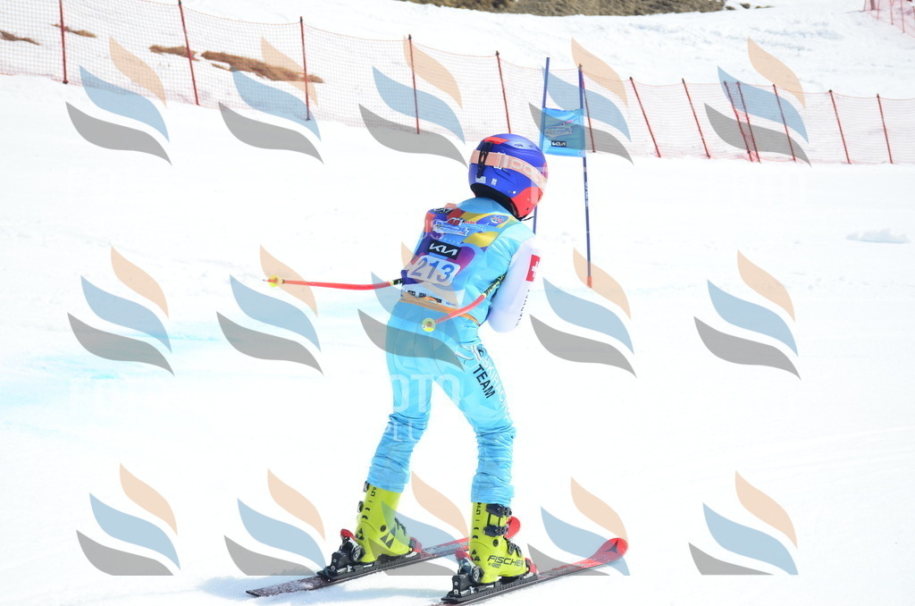 _ELE1490 | holidayphoto