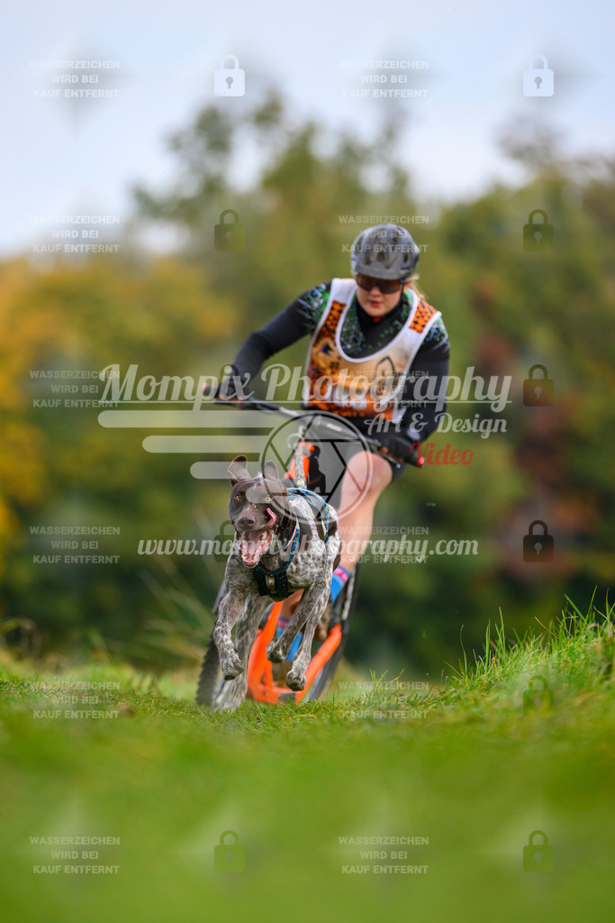 MompixPhotography_CDLBDB2025_DI_DS-54 | PayLife