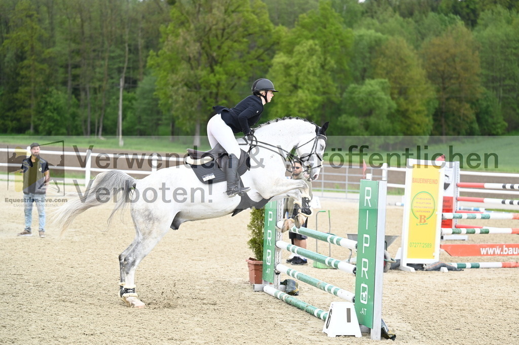 DSC_0697 | equestrian-live-com