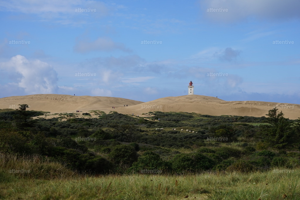 Rubjerg Knude Fyr | Dänemark, Løkken - Realisiert mit Pictrs.com