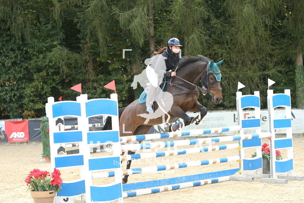 DL2Q6702 | Willkommen bei Brunnmayr - Design & Fotografie – Ihrem Spezialisten für Reitturniere und Pferdeveranstaltungen in Oberösterreich, Salzburg und Bayern! Seit über 17 Jahren sind wir leidenschaftlich dabei.