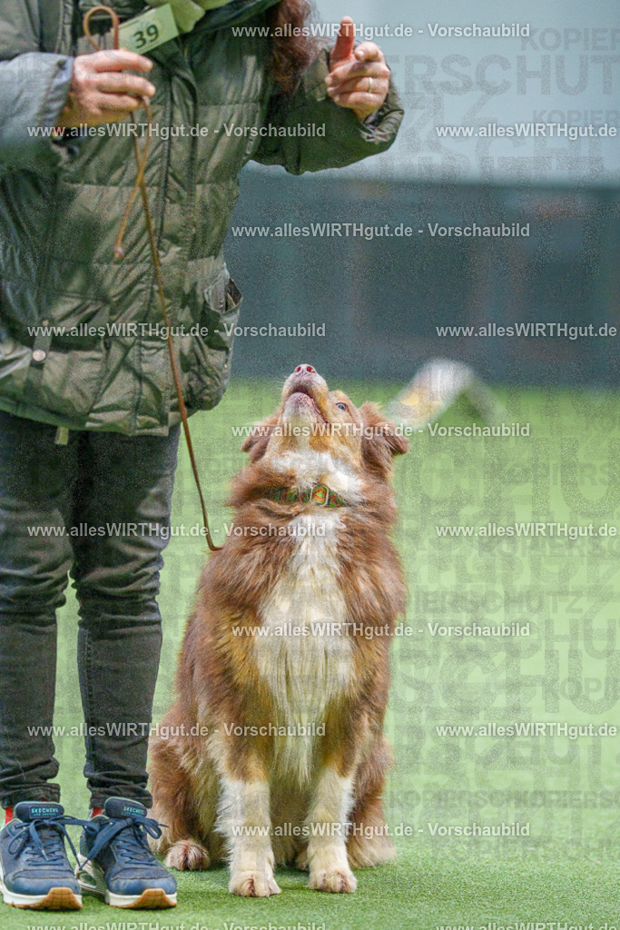 7R506189 | Professionelle Tierfotografie in Mönchengladbach von Daniel Wirth (allesWIRTHgut). Liebevolle & natürliche Bilder von Hunden & Katzen für unvergessliche Erinnerungen.