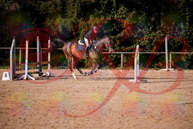 2026_10_03_Siefer-Hof_160007_Z81_80682134 | Professionelle Reitsport-, Turnier- und Eventfotografie von Robert Broda. Galerien mit ausgewählten und bearbeiteten Bildern direkt online ansehen und bestellen.