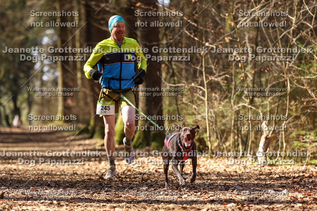 Dog Paparazzi - VCC26-1123 | Dog Paparazzi Jeanette Grottendiek Fotografie & Videografie - Realisiert mit Pictrs.com