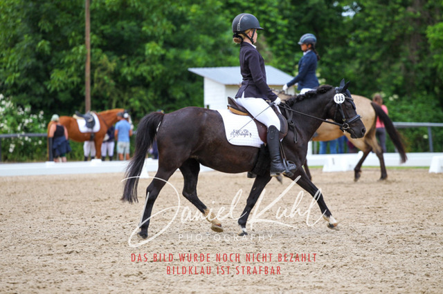 DKP46263 | Turnierfotos kaufen im Webshop von Daniel Kuhl Photography – entdecke professionelle Reitsportfotos aus Turnieren & Events. Hochwertige Turnierbilder online bestellen & sichern. Jetzt Fotos von Reitsportturnieren kaufen!