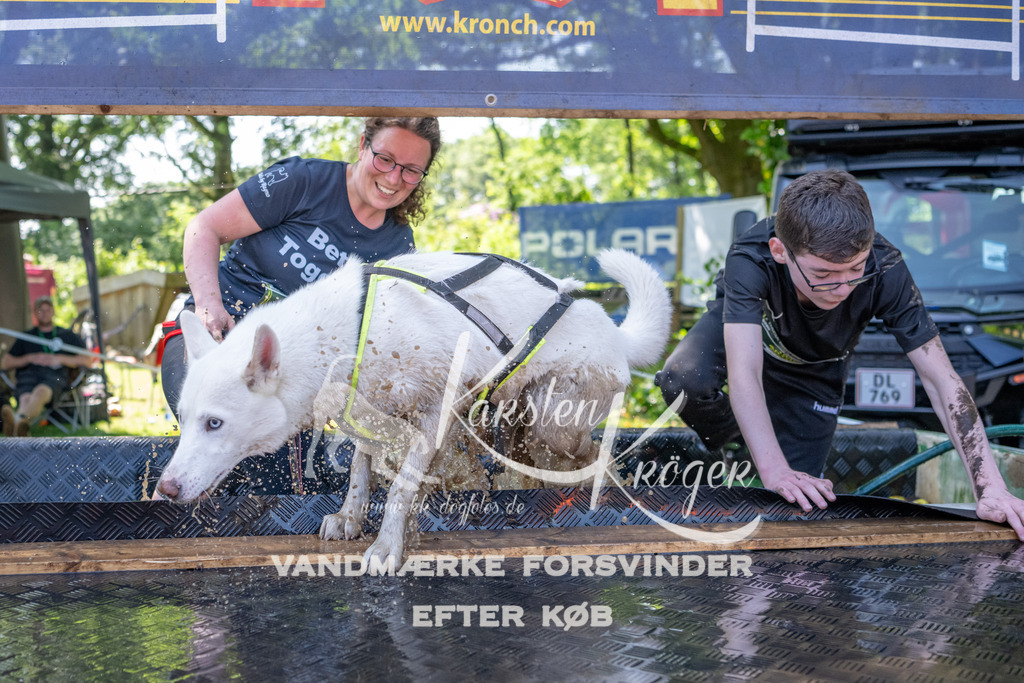 1402_ZZ93238 | kk-dogfotos