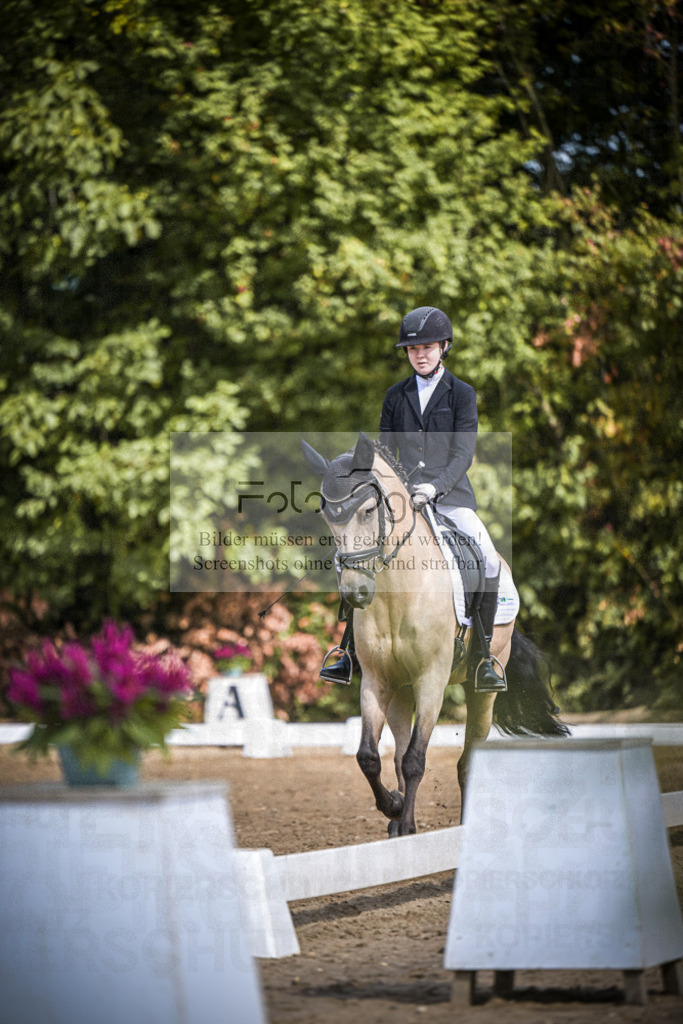DOS_0711 | Entdecke hochwertige Reitturnierfotos von Foto Oger. Professionell, emotional und authentisch – jetzt Lieblingsmomente im Shop bestellen.Deutschlandweite Turnierfotografie. - Realisiert mit Pictrs.com