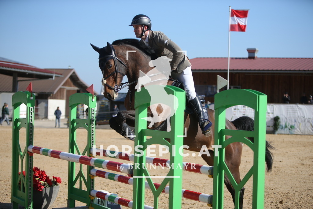 AS8V5466 | Willkommen bei Brunnmayr - Design & Fotografie – Ihrem Spezialisten für Reitturniere und Pferdeveranstaltungen in Oberösterreich, Salzburg und Bayern! Seit über 17 Jahren sind wir leidenschaftlich dabei.