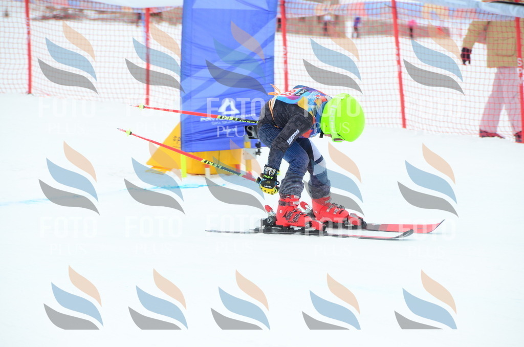 DSC_1702 | holidayphoto