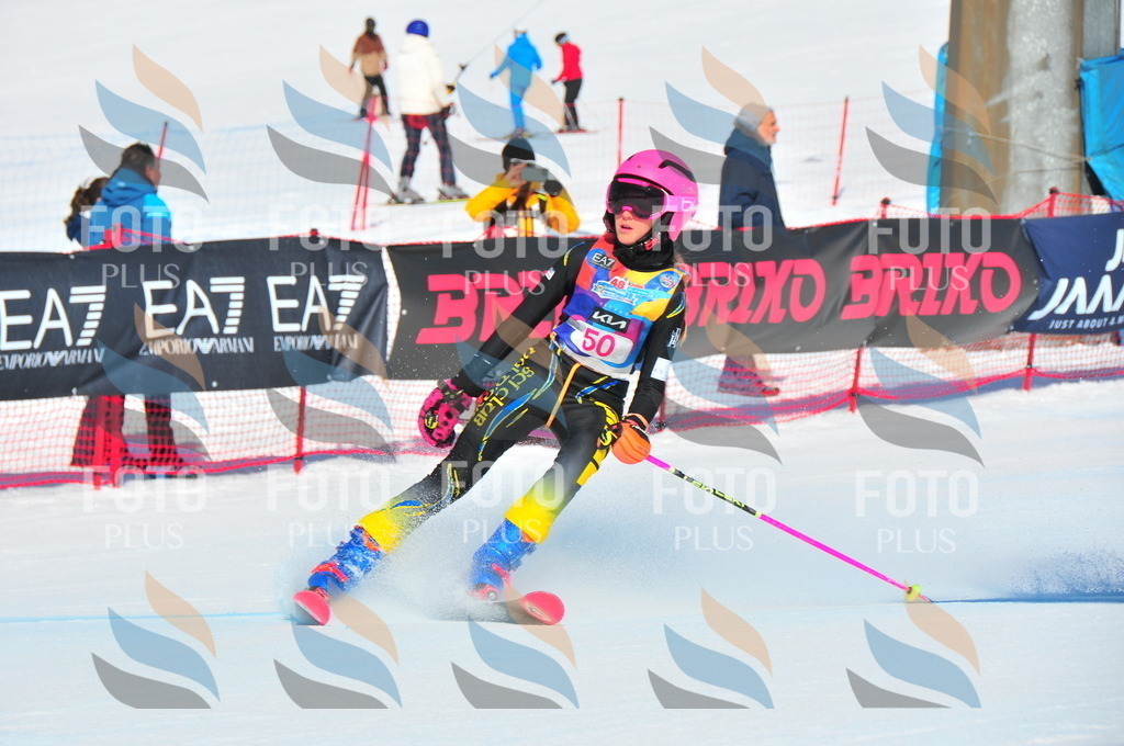 DSC_4093 | holidayphoto