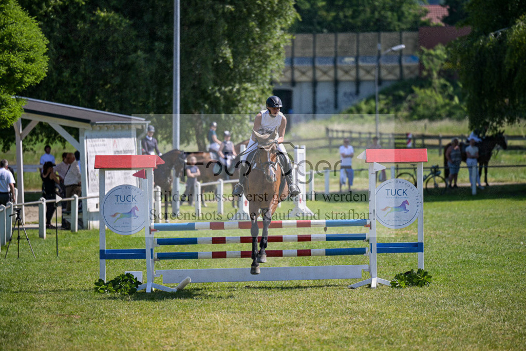Reitturnier Voxtrup | Entdecke hochwertige Reitturnierfotos von Foto Oger. Professionell, emotional und authentisch – jetzt Lieblingsmomente im Shop bestellen.Deutschlandweite Turnierfotografie. - Realized with Pictrs.com