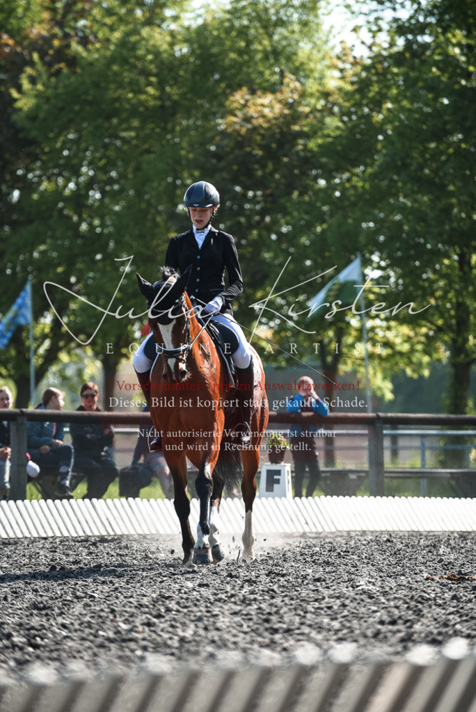DSC_8650 | Pferde- und Turnierfotografie in Westsachsen. Pferdeportraits, Auftragszeichnungen und intuitive Kunst.