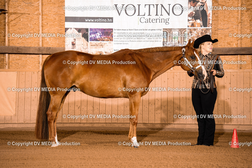 NE100017 | dv-media-shop - Realisiert mit Pictrs.com