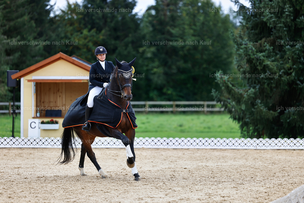 6-Siegerehrung-AMATUER-DRESSUR S_  -StoibPH-3661 | working equitationturnier fotograf videograf stoibphotography marixx film working equitation deutschland reitsport turnierfotografie eventfotografie equestrian events
