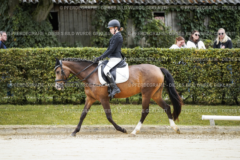 DSC04368 | Pferdegrafie