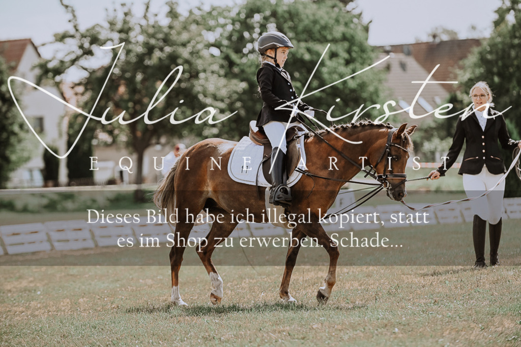 DSC_7615 | Pferde- und Turnierfotografie in Westsachsen. Pferdeportraits, Auftragszeichnungen und intuitive Kunst.