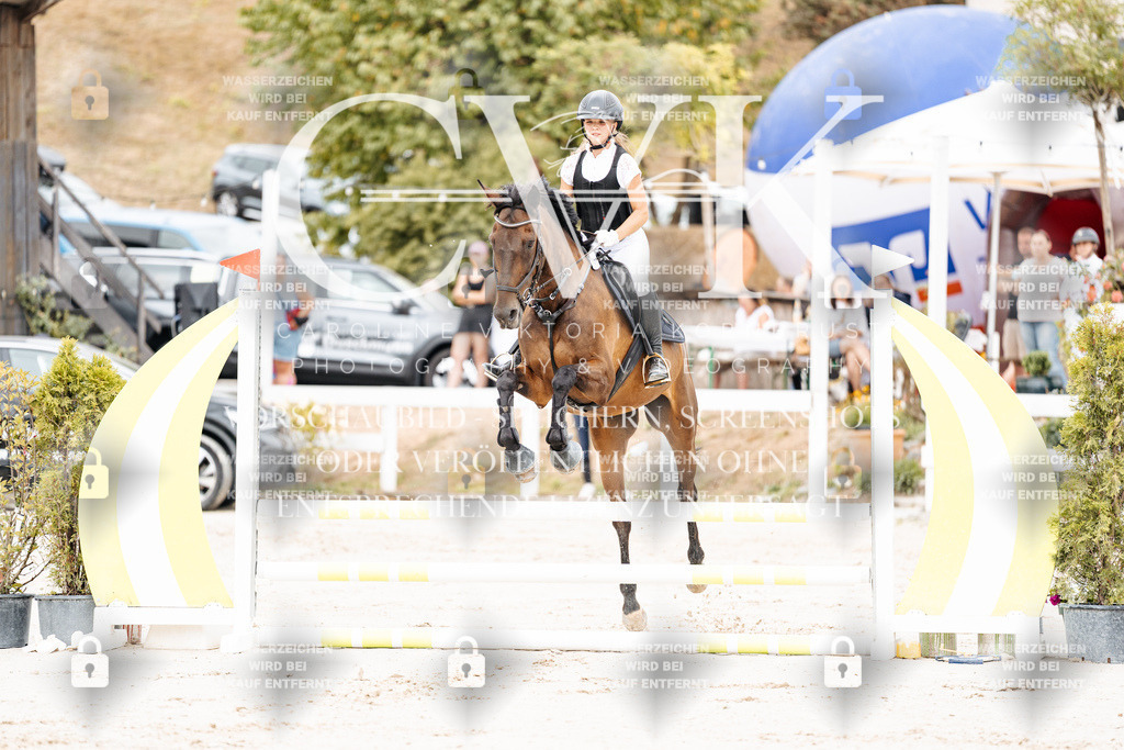 CK907785 | Turnierfotografie Pferdefotografie Trier Rheinland-Pfalz Pferdesport Reitsport Tierfotografie Sportfotografie Pferdevideo Pferdevideografie Equestrianvideography equestrianphotography  - Realisiert mit Pictrs.com