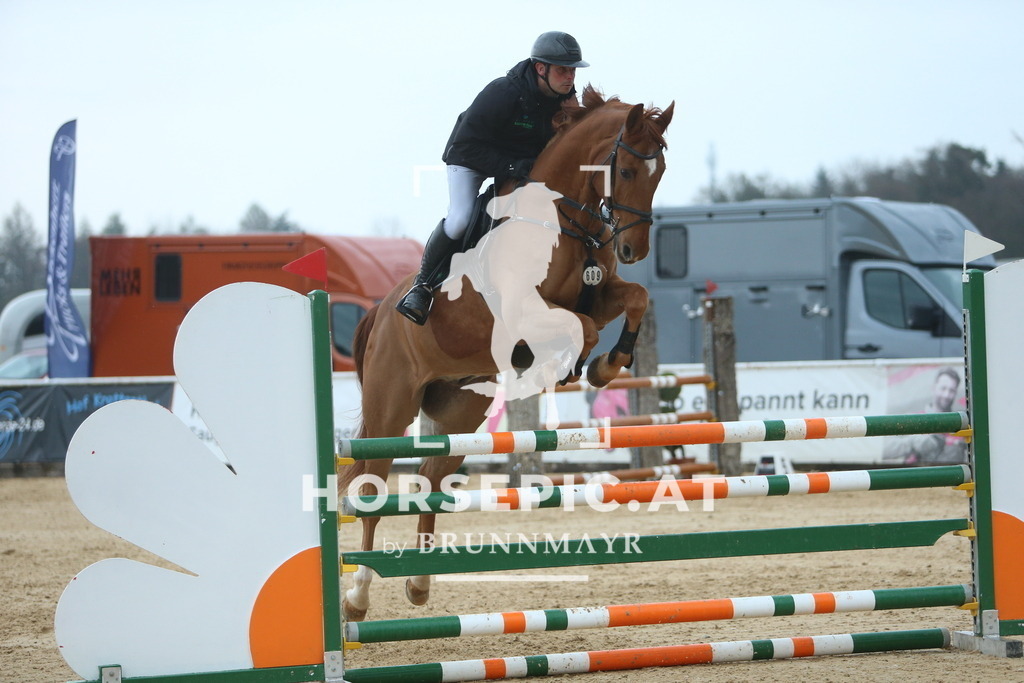 DL2Q7454 | Willkommen bei Brunnmayr - Design & Fotografie – Ihrem Spezialisten für Reitturniere und Pferdeveranstaltungen in Oberösterreich, Salzburg und Bayern! Seit über 17 Jahren sind wir leidenschaftlich dabei.
