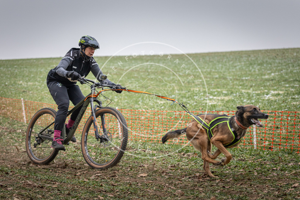 Pfotenfotografie_DV3A1561 | Hundefotografie, Tierfotograf, Pfotenfotografie, Fotoshooting Hund, Hunde Portrait, Hundesport, Hundeportraits, Heideshooting, Hunde, Sportfotograf, Hundefotograf, Turnierhundsport, THS,  - Realisiert mit Pictrs.com