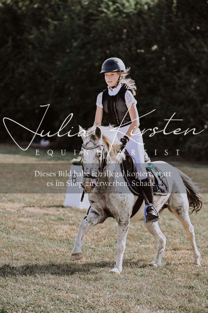 DSC_9547 | Pferde- und Turnierfotografie in Westsachsen. Pferdeportraits, Auftragszeichnungen und intuitive Kunst.