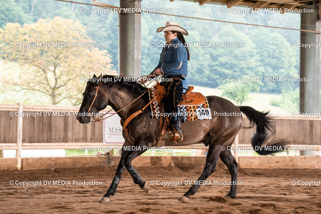 Erbach Tag 4-567 | dv-media-shop - Realisiert mit Pictrs.com