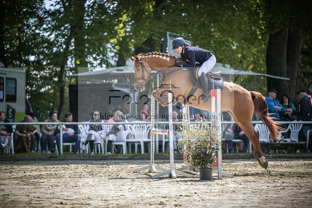 DOS_9551 | Entdecke hochwertige Reitturnierfotos von Foto Oger. Professionell, emotional und authentisch – jetzt Lieblingsmomente im Shop bestellen.Deutschlandweite Turnierfotografie. - Realisiert mit Pictrs.com