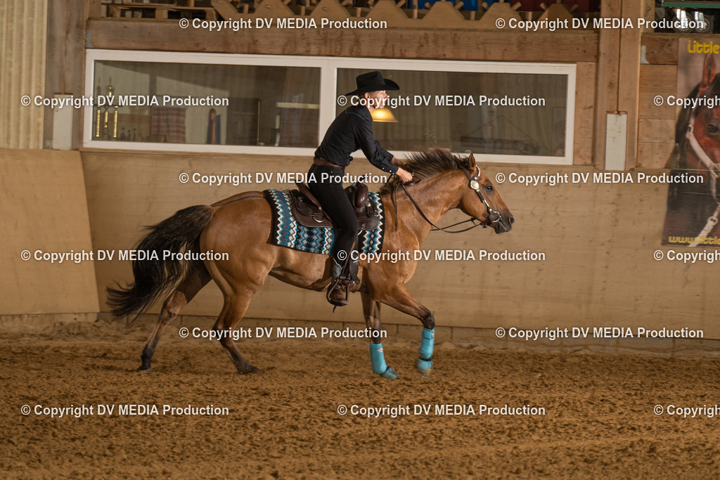 LAU00513 | dv-media-shop - Realisiert mit Pictrs.com