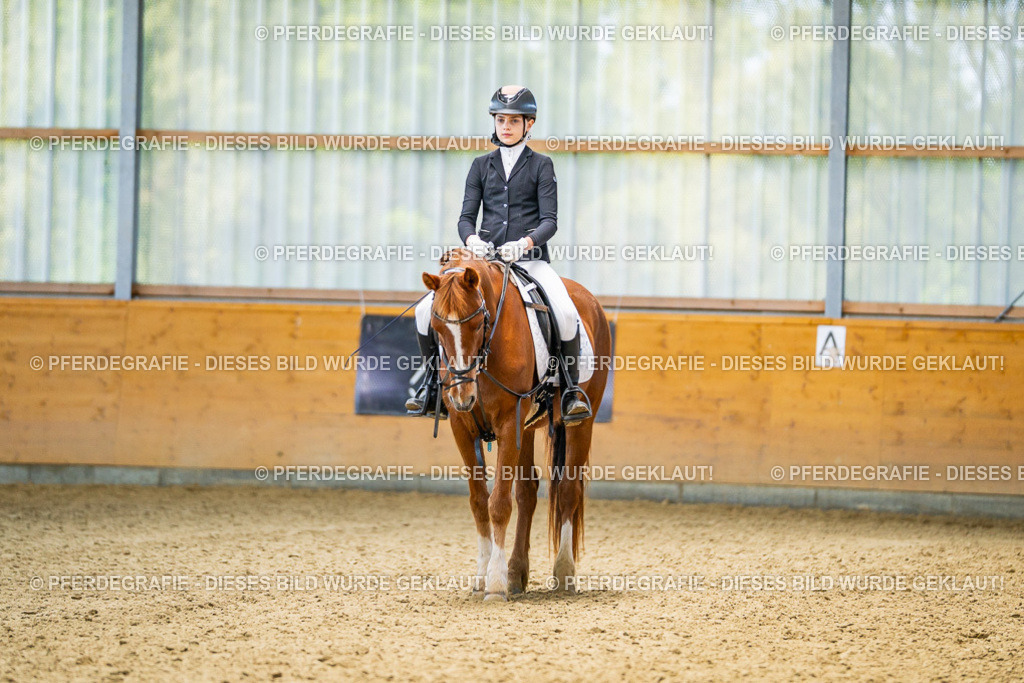 DSC03052 | Pferdegrafie