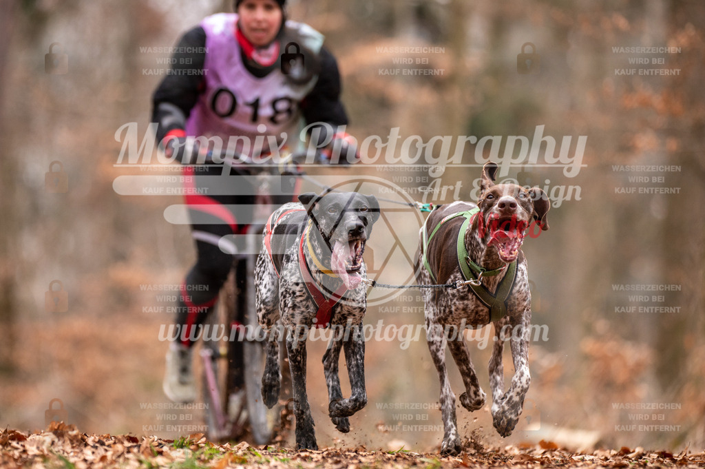 AKM_ST_2023_SAM_DS2-32 | PayLife