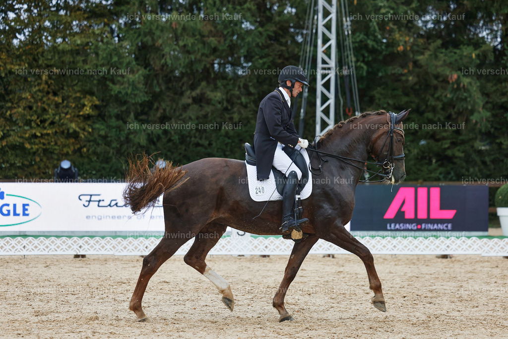 8_2-240-DRESSUR S_  -StoibPH-4460 | working equitationturnier fotograf videograf stoibphotography marixx film working equitation deutschland reitsport turnierfotografie eventfotografie equestrian events