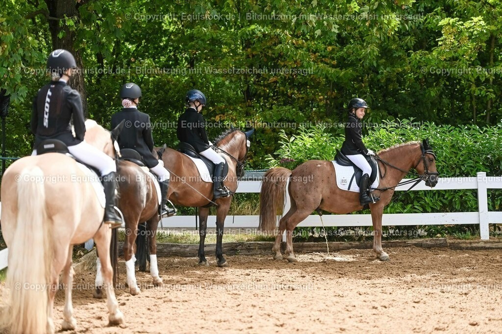 20230716_10-3_Reiter-WB Schritt - Trab - Galopp_0132 | equistock