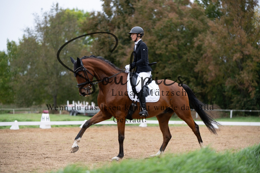 A7V05461 | Pferdefotograf